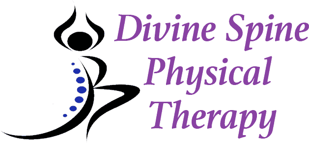 divine spine physical therapy vector